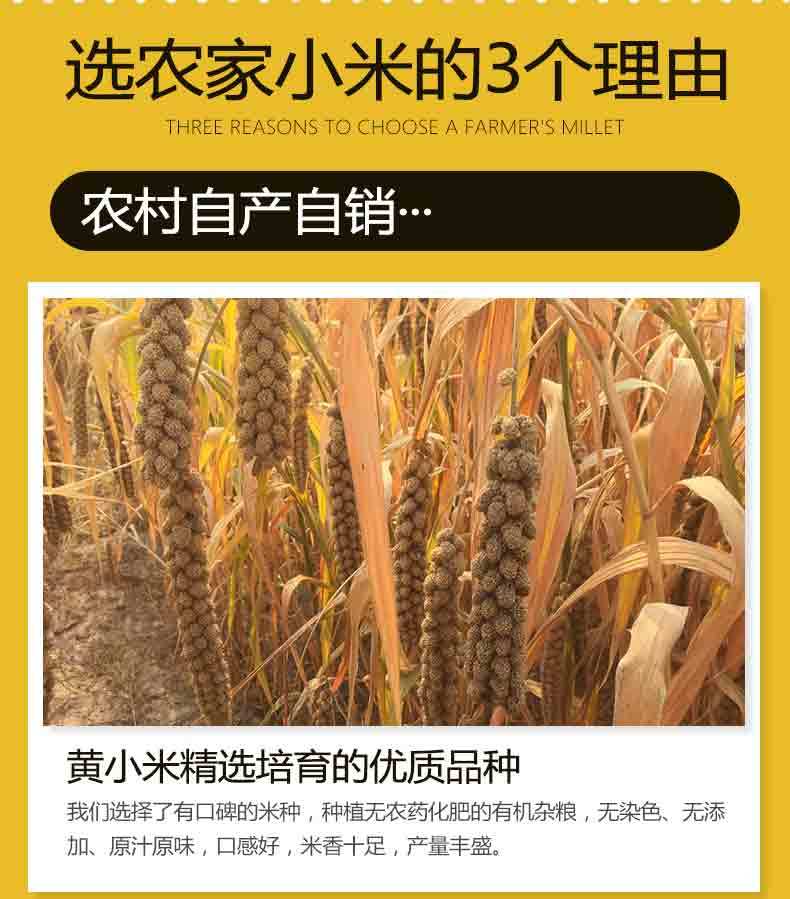 【2019新山西农家黄小米】月子米宝宝米小黄米5斤实惠