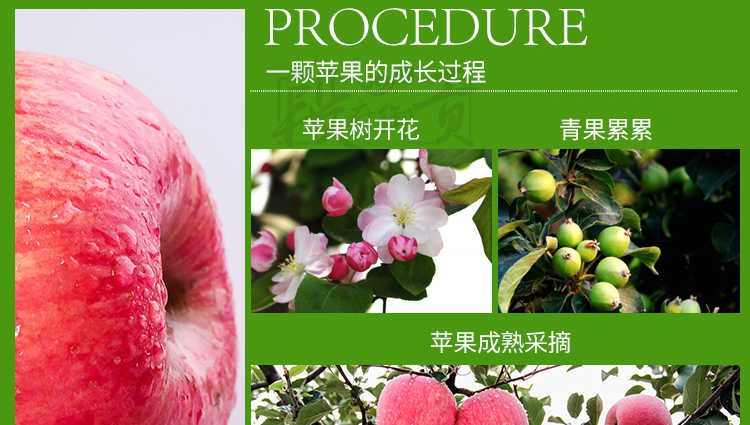 【精品红富士3斤19.9】陕西高山红富士苹果水果3斤脆甜多汁苹果新鲜水果