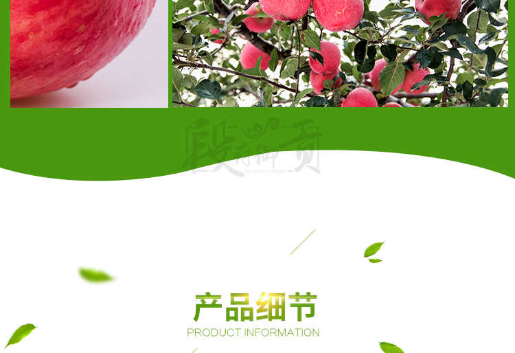 【精品红富士3斤19.9】陕西高山红富士苹果水果3斤脆甜多汁苹果新鲜水果