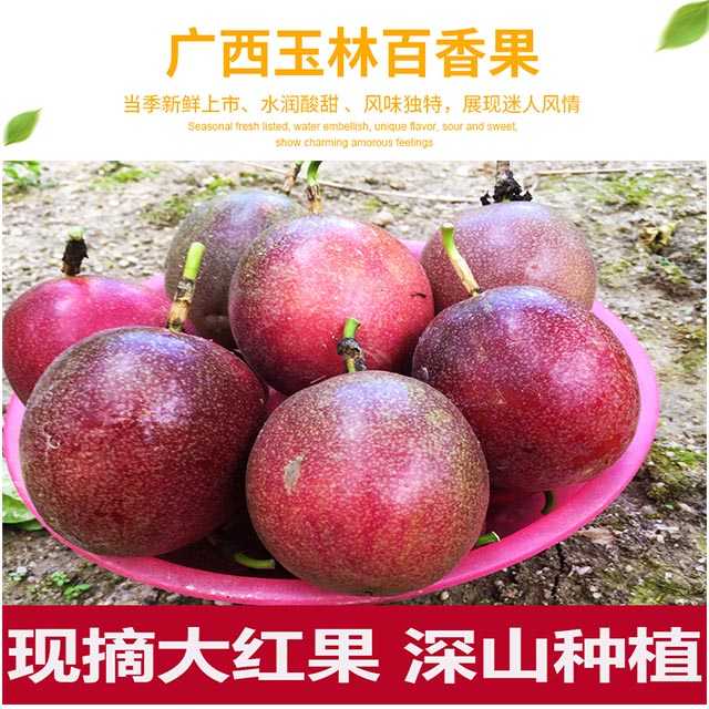 【送开果器】广西百香果精选大果5斤装3/2斤12个新鲜水果酸甜多汁