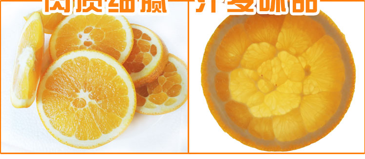 【500单&amp;坏果包赔】正宗赣南脐橙5/10斤新鲜水果孕妇橙子批发
