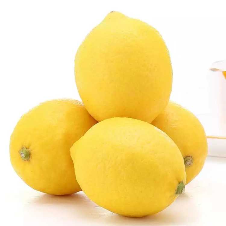 【预售】【买3斤送2斤精品新鲜柠檬】四川安岳黄柠檬 新鲜当季水果 非青柠 香水柠檬