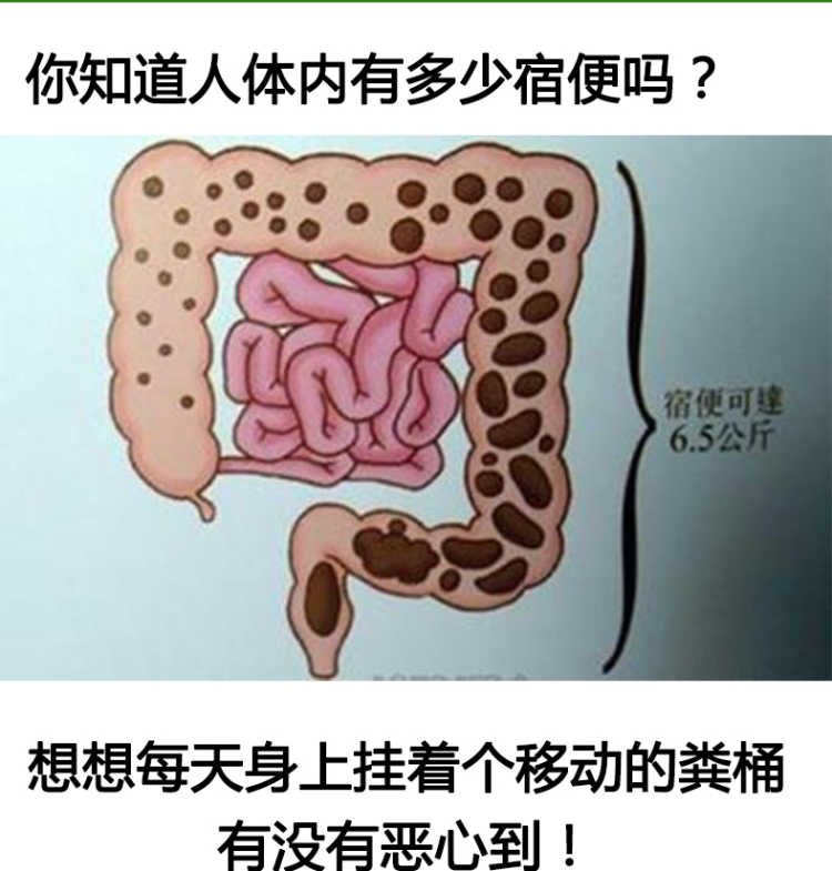 清肠排宿便清肠垢酵素粉24小时清除肠道宿便 10克*10