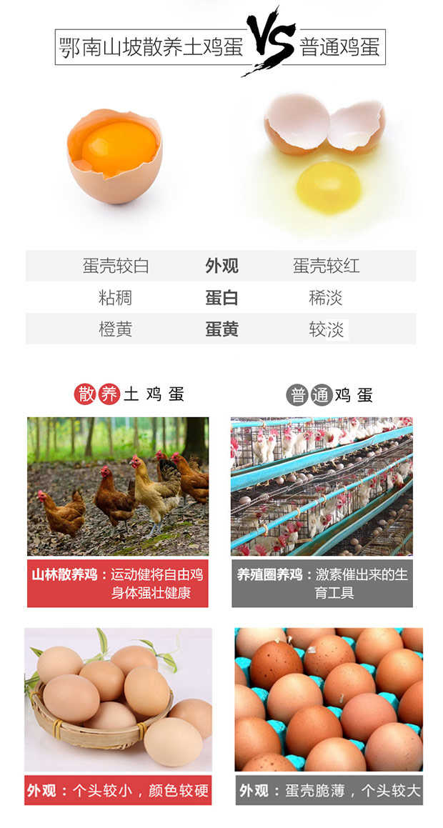 【包邮】30枚土鸡蛋 散养新鲜草鸡蛋正宗农家柴鸡蛋
