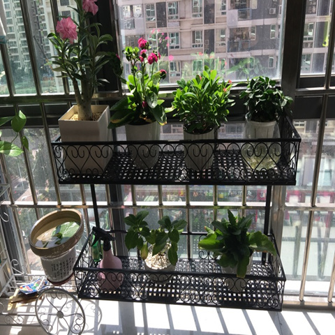 华富仕 阳台双层花架 绿萝多肉铁艺栏杆护栏悬挂式窗台窗外置物架