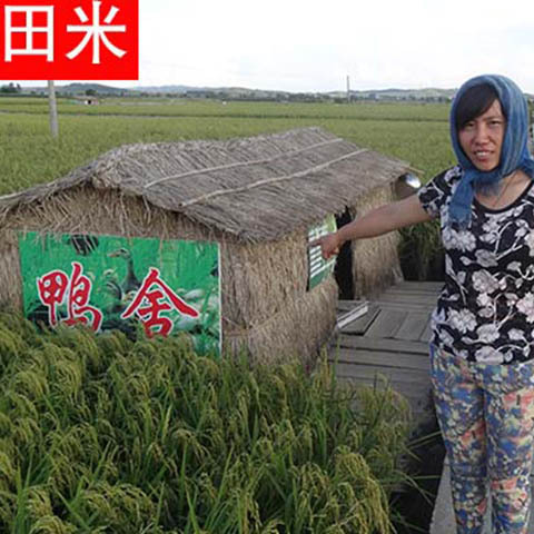 门稻22年新米10斤五常大米稻花香2号大米自产大米粳米5kg东北特产