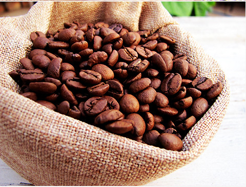 蓝山风味咖啡豆进口阿拉比卡生豆227g半磅下单烘焙非速溶咖啡