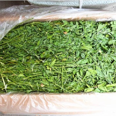 苜蓿草毛重1kg紫花苜蓿草龙猫牧草兔粮饲料干草提摩西草豚鼠