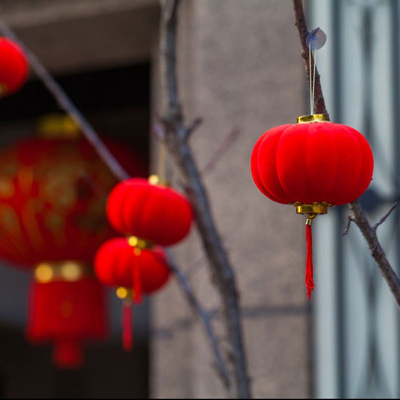 装饰灯笼大红灯笼 12a9b4a1759983876df19d832b9f1593.jpeg