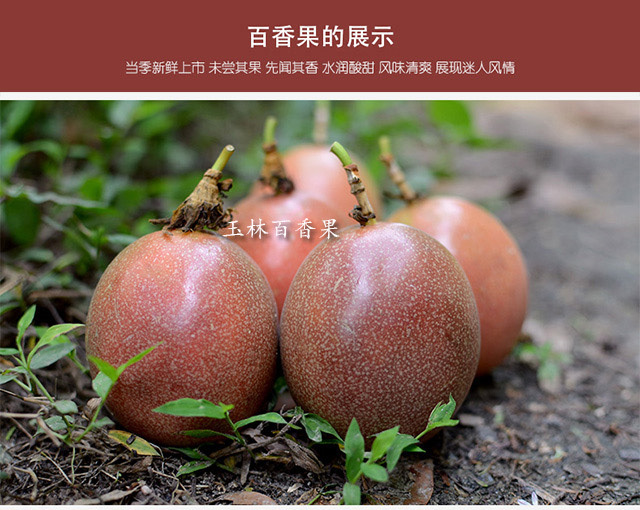 【919鲜果】广西百香果精选果子个新鲜水果酸甜多汁