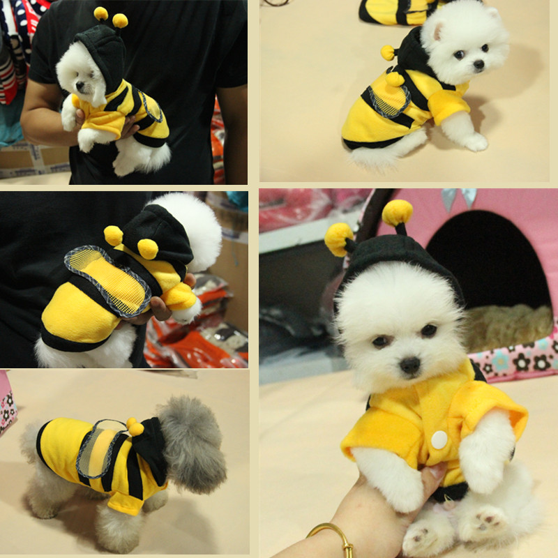 [hot spring and autumn style] dog clothes, little bee, kitten clothes, teddy bear, Bomei rabbit clothes