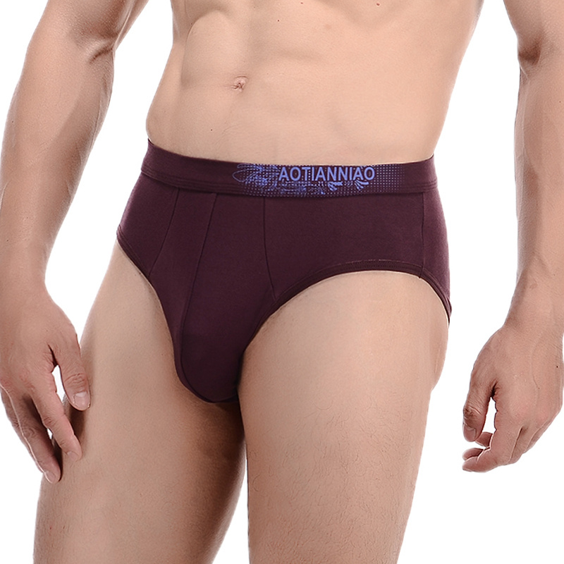 New printed men's underwear men's briefs modal youth breathable mid-waist underwear men's shorts pants