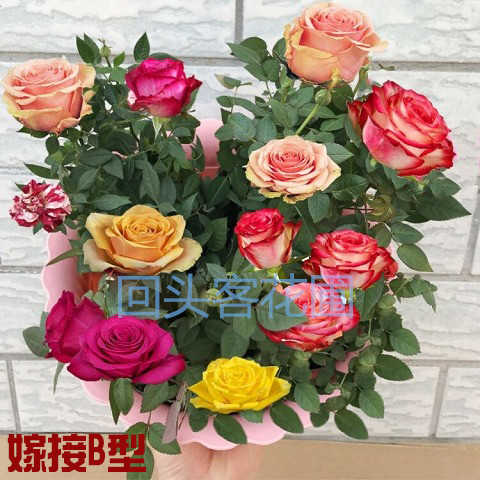 dbaf7f730c5006e797fc3f9fe59cead4.jpeg@750w_1l_50Q