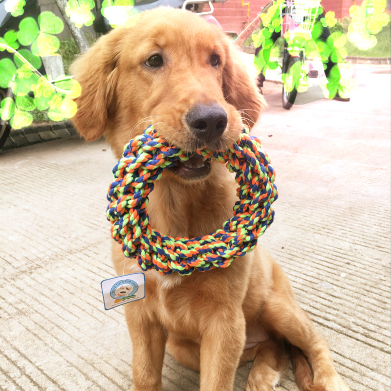 Medium and large size dog pet cotton rope toy golden fur border nomad husky Samoye molars bite resistant cleaning dog toy