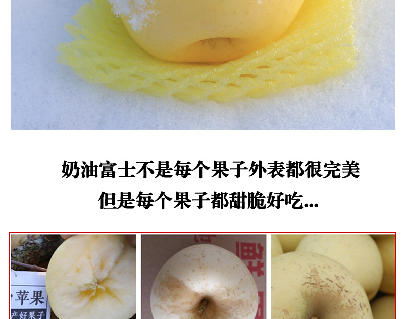 脆甜多汁奶油富士苹果新鲜吃的水果糖心水果非黄金维纳斯烟台苹果