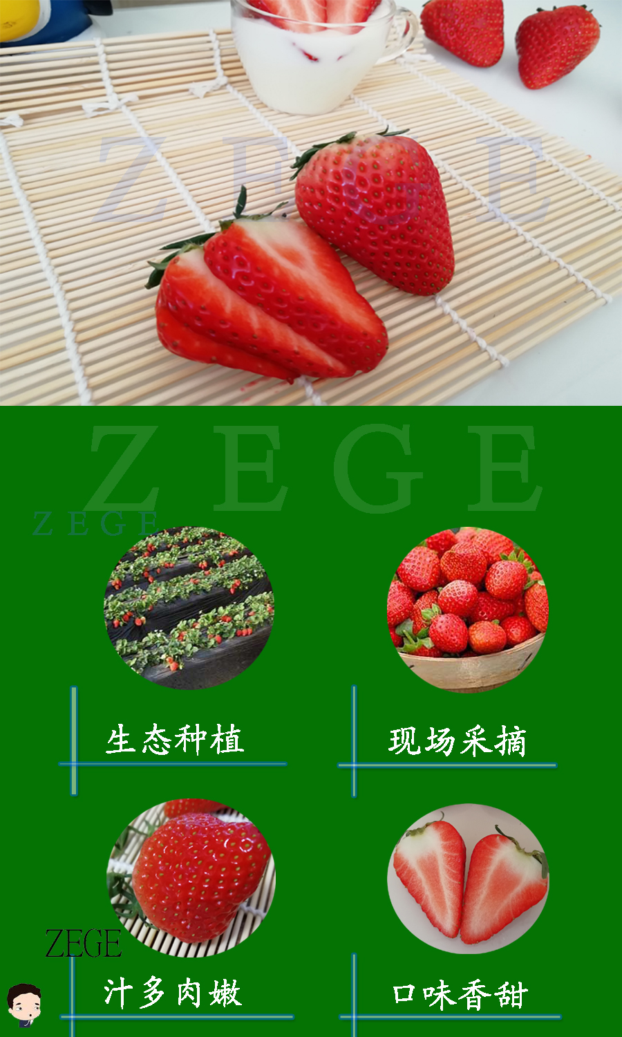 【顺丰空运】99草莓牛奶草莓秸秆草莓新鲜水果现摘现发礼盒装【博莱生活馆】