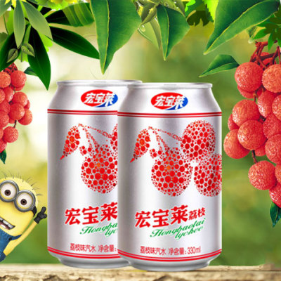 宏宝莱荔枝味饮料330m24罐整箱批发碳酸汽水饮料多规格12罐